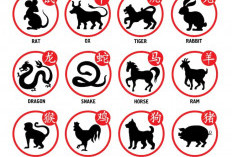 Ramalan Shio Naga, Shio Macan, Shio Kambing, Shio Tikus, Shio Kuda Hari Ini 