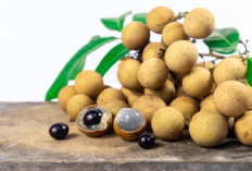 Miliki Rasa Manis dan Juga Khas, Ini Manfaat Buah Kelengkeng Untuk Kesehatan