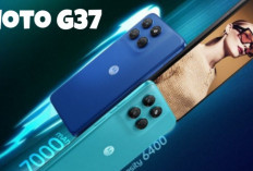Moto G37 Bukan Sekadar HP Biasa, Fitur ThinkShield Siap Lindungi Data Pengguna