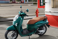 Perbandingan Honda Scoopy vs Yamaha Fazzio, Mana Motor Stylish Terbaik Pilihan Kamu