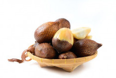 7 Manfaat Buah Salak untuk Kesehatan, Bisa Jaga Mata hingga Cegah Anemia