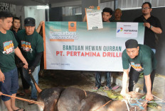 Sambut Idul Adha 1446 H, Pertamina Drilling Tebar 16 Hewan Kurban ke Berbagai Penjuru Nusantara