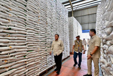 Sidak Gudang Bulog di Magelang, Presiden Pastikan Stok Beras Nasional Aman dan Siap Distribusi