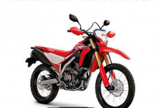 Honda CRF250L Saingan CBR250RR! Motornya Anak Muda, Segini Harganya Sekarang 