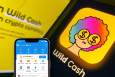 Main Game Dapat Uang? Wild Cash Buktikan Bisa Dapat Rp200 Ribu per Hari