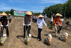 Dukung Swasembada 2025, Polres Prabumulih Tanam Jagung di Lahan 2 Hektar, 30 Kg Bibit di Patih Galung