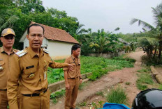 Jalan Bougenville Belum Tersentuh Pembangunan