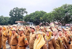 Sekolah Negeri Dilarang Rekrut Guru Honorer Baru, Kepsek Harus Tau