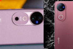 vivo V40 vs vivo V50, Mana yang Lebih Layak Dibeli? Simak Perbandingan Spesifikasi dan Harganya