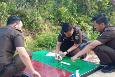 Selain Geledah Kantor, Kejari Muba Sita 617 Hektar Lahan Milik PT SMB
