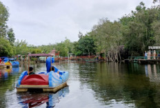 Rencana Liburan Tahun Baru? Yuk, Jelajahi Keindahan Alam Sumatera Selatan