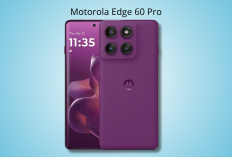 Resmi Meluncur! Motorola Edge 60 Pro Usung Desain Premium, Layar Super Cerah & Kamera 50MP