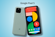 Pixel 5 Masih Jadi Raja Kamera AI, Hasil Foto Tangguh Harga Cuma 1 Jutaan