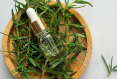 Rahasia Kecantikan Rambut, Manfaat Luar Biasa Minyak Rosemary