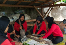 Cegah Serangan Hama: KWT Srikandi Belajar Buat Pestisida Nabati