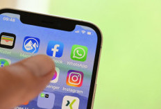 3 Cara Mengetahui Kontak WhatsApp Anda Belum Disimpan