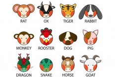 Ramalan Shio Macan, Shio Ayam, Shio Tikus, Shio Naga, Shio Kambing Hari Ini 