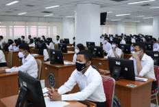 Lolos ASN Bukan Akhir! BKN Tegaskan Kinerja Buruk Bisa Diberhentikan 