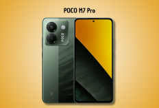 Seberapa Bagus Kamera POCO M7 Pro? Ini Hasil Uji Outdoor & Night Mode