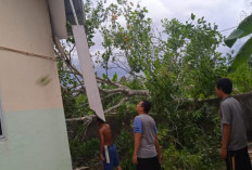 Puting Beliung, Polindes di Desa Talang Batu Prabumulih Tertimpa Pohon 