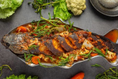 Ikan Gabus: Lauk Lezat dengan Segudang Manfaat Kesehatan