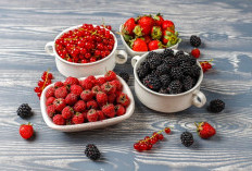 5 Buah Beri Super yang Wajib Masuk Menu Harianmu