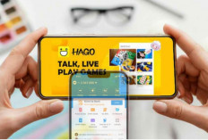 Rahasia Maksimalkan Penghasilan dari Hago di Tahun 2026