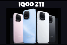 iQOO Z11 Siap Meluncur Global, Bawa Baterai Jumbo dan Performa Gahar