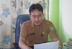 Cara Efektif Lawan DBD: Pelihara Ikan Cupang di Rumah