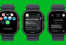 Beta WhatsApp for Apple Watch Dirilis: Chat Tinggal Angkat Tangan