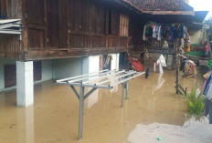 Ratusan Rumah Warga OKU Terendam Banjir