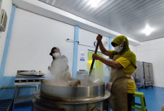 2.340 Dapur MBG Kantongi Sertifikat Halal, Pemerintah Targetkan 100 Persen