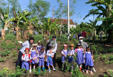 Playgroup Palmkids Ajak Anak-anak Ke Kebun Sayuran