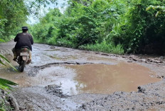 Warga Keluhkan Jalan Rusak Tanjung Batu–Payaraman, Pemerintah Diminta Segera Bertindak