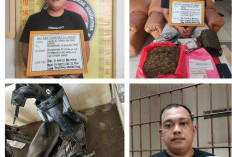 Bea Cukai, BNN dan Polres Tanjabbar Tangkap Badar Narkotika Jenis Ganja 1,5 kg