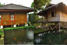 7 Inspirasi Rumah Sederhana di Desa dengan Elemen Air yang Menenangkan