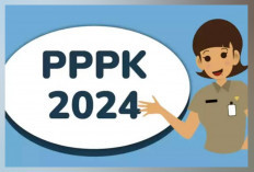 Kabar Gembira! Semua Tenaga Honorer Dapat NIP PPPK 2024, Ini Persyaratannya