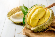 Tak Hanya Enak, Ini Rahasia Manfaat Durian untuk Kesehatan