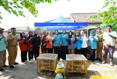 Dukung Ketahanan Pangan, Dinas Pertanian Prabumulih Salurkan Bantuan Ternak untuk KWT Srikandi