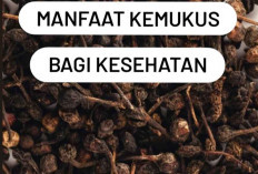 8 Manfaat Kemukus Bagi Kesehatan Tubuh, Tanaman Rempah yang Pernah Berjaya