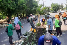 Tata Tanaman di Median Jalan 