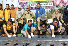 Pj Wako - Forkompinda Kota Prabumulih Tanam Bawang Merah di Lahan Milik Pemkot 