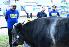 Rayakan Idul Adha 1447 H, Pertamina Drilling Tebar Hewan Kurban di Berbagai Daerah