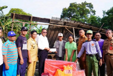 Wako Prabumulih H Arlan Gerak Cepat Tinjau Lokasi Kebakaran di Sukajadi, Korban Terima Bantuan
