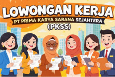 Fresh Graduate Merapat! PKSS Buka Lowongan Kerja, Simak Syarat dan Cara Daftarnya