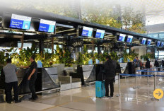 Pemerintah Turunkan Tarif Tiket Pesawat Hingga 14 Persen Jelang Natal dan Tahun Baru