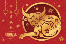 Ramalan Shio Kuda, Shio Kambing, Shio Naga, Shio Macan, Shio Ular Terbaru