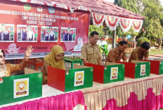 Hubungkan Kurikulum Merdeka Dengan Program Sekolah