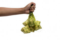 Tips Penyimpanan Ketupat Agar Tetap Lezat dan Tahan Lama