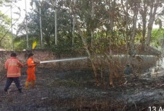 Dua Hari, Dua Kejadian Kebakaran Lahan di Kota Prabumulih 